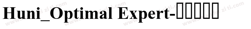 Huni_Optimal Expert字体转换